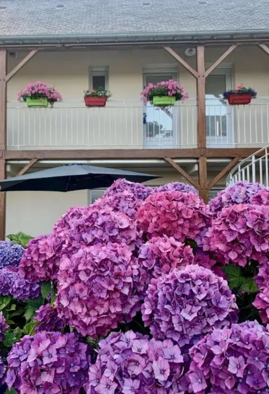Brit Hôtel Les Hortensias - Lannion